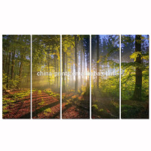 Forest Sunshine Canvas Wall Art / Vente en gros Autumn Landscape Canvas Painting / Sunset Scenery Wall Picture